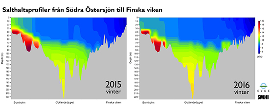 Salthalten Gotlanddjupet - Finska viken 2015 och 2016